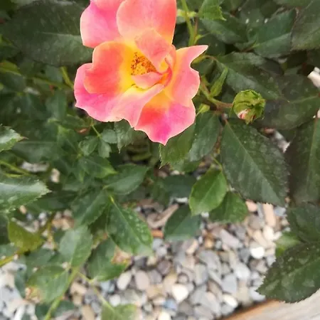 Feriehus Acero Rosso Massa Martana