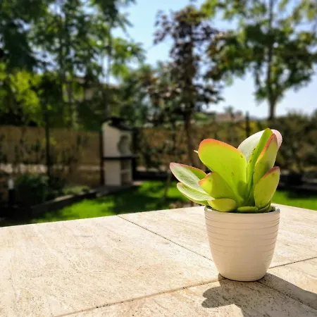 Acero Rosso * Масса-Мартана