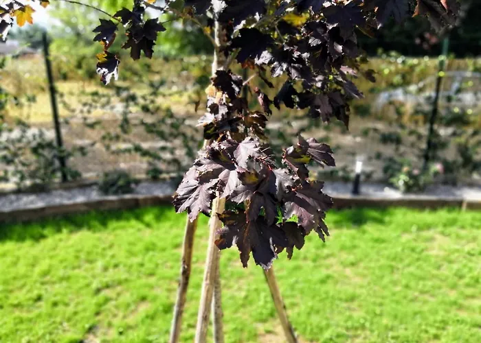 Acero Rosso Prázdninový dům *